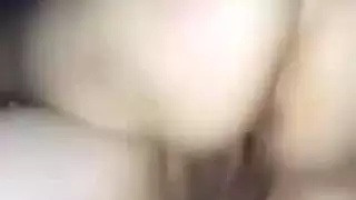 الديك التركي الكبير