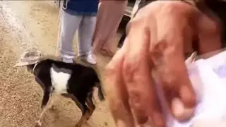 جنود اغتصبوا فتاة عراقية في فيديو إباحي