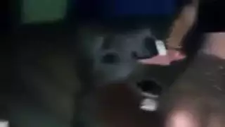 ماروكين في حالة سكر شارموتا