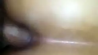 تقليم