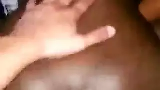 الأبنوس تربية العربية