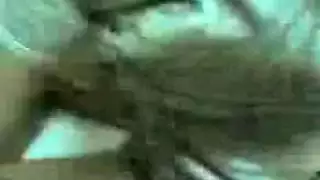 جوز ولاد حرام محن ونياكها واحلى مناغشه وتفريش ويهيجو ويعملو النيكه الصح