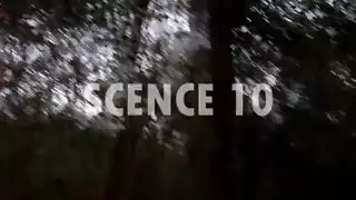 عودت مع بعض الأفلام الجديدة