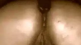 هي مثل في الحمار العربي