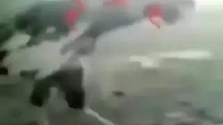 الديك الأسود العربي