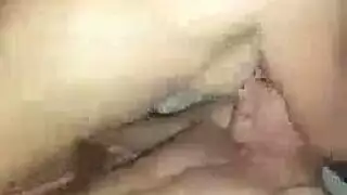 قصص سكس نيك عزومه