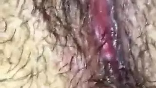 الحمار لطيفة من العراق