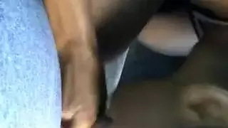 رقبة الديك الرومي
