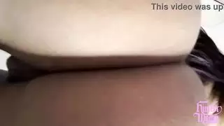 العرض الحسي للهواة الرطب والبري