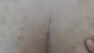 الحمار صديقته الإيرانية