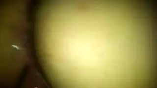 الجنس العربي