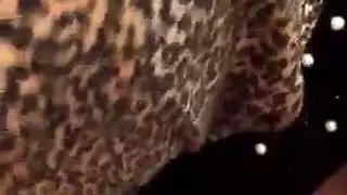 اللسان الحجاب التركي