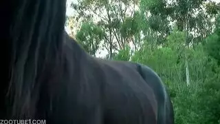 جنس شاب مع حصان Xnxx حصان حصان Yenick مثلي الجنس