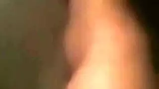 فيد