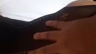 الشرج العربي في فرنسا