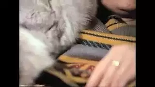 فيلم سكس اجنبي كلاسيكي قديم