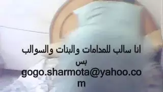 مصر