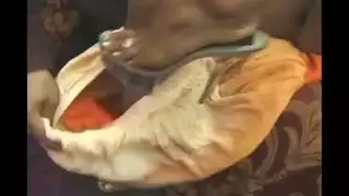 العربية كافيتا اللسان ديك كبيرة والثلاثي اللعين
