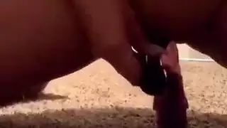 الجبهة العربية ارضاء نفسها مع لعبة