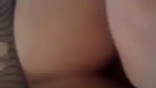 الشرج العربي في فرنسا